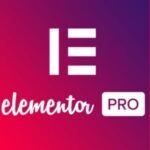 Elementor PRO WordPress Page Builder + Pro Templates